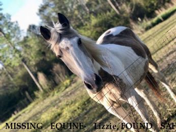MISSING EQUINE- Lizzie, FOUND SAFE Near Delco, NC, 28436